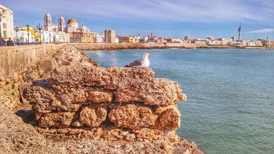 cosas que hacer, ver y visitar, visitas tours y excursiones en Cádiz Andalucia